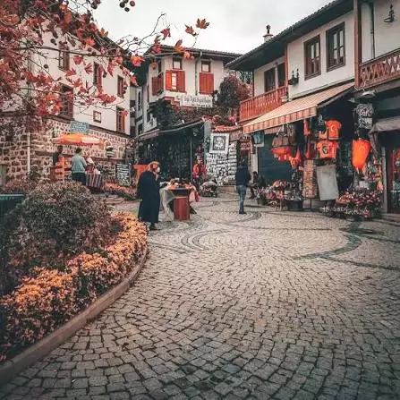 Tour Image