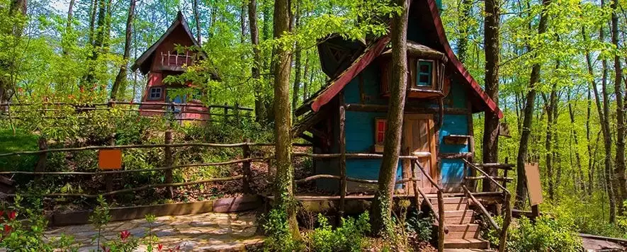 ORMANYA,MAŞUKİYE,SAPANCA